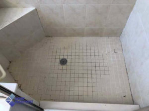 Before Shower Tile Regrout keeping grout mold free